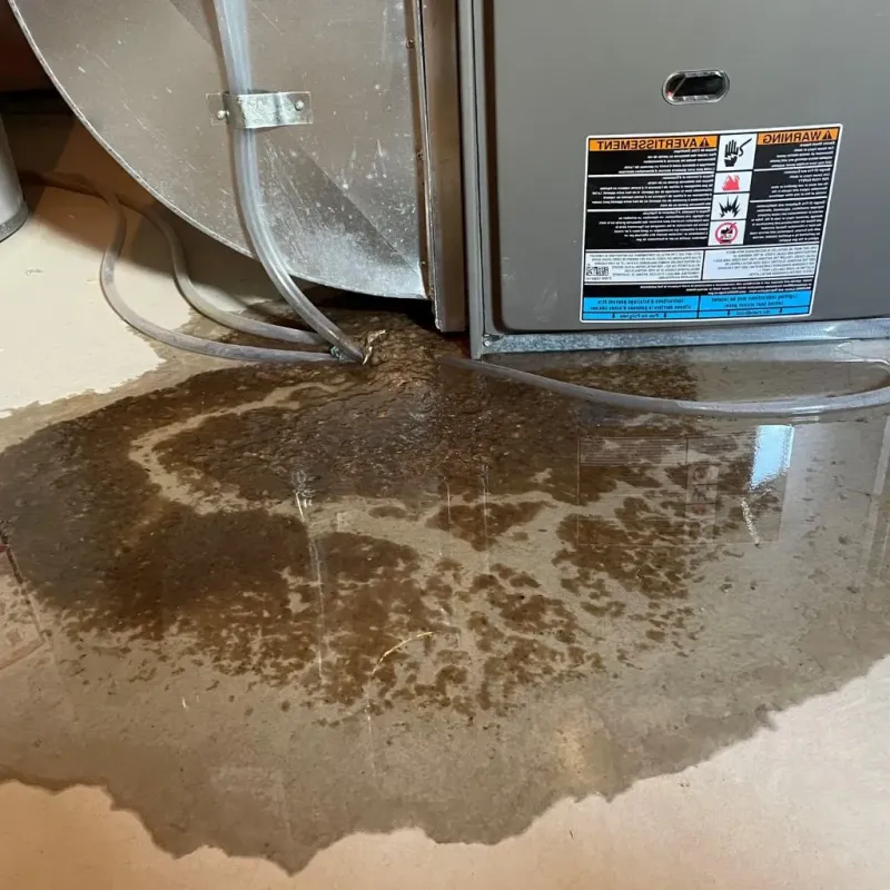 Pipe Burst and Leak Restoration in Harrisburg, PA