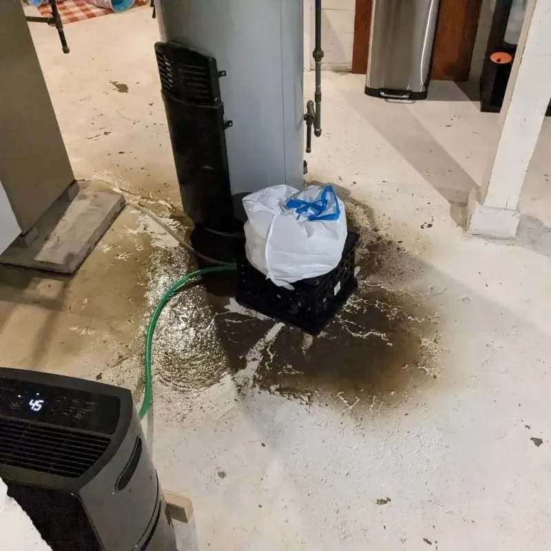 Sewage Backup Cleanup Service in Harrisburg, PA